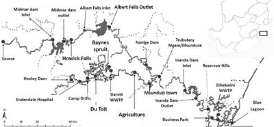 Risk Assessment of Personal Care Products, Pharmaceuticals, and Stimulants in Mgeni and Msunduzi Rivers, KwaZulu-Natal, South Africa